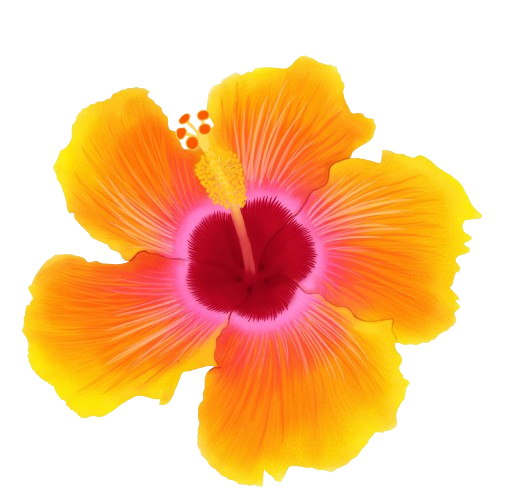 orange flower