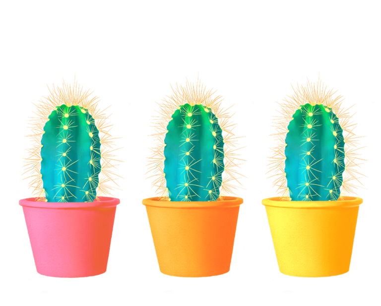 Cactus