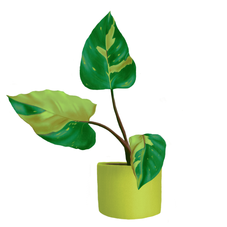 Multi green plant